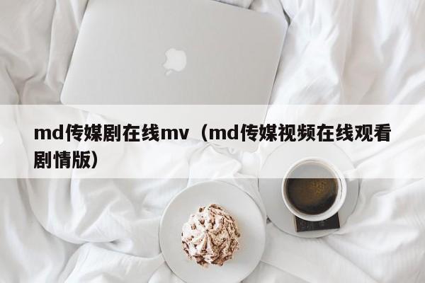 md传媒剧在线mv（md传媒视频在线观看剧情版）